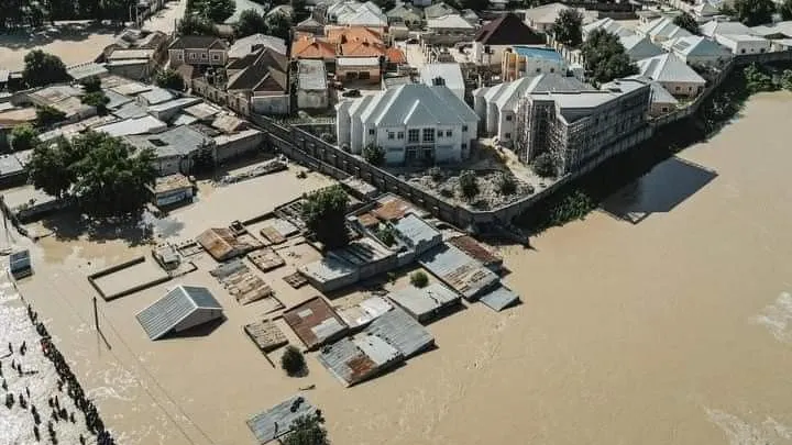 One million residents affected, as flood displaced 414,000 in Borno